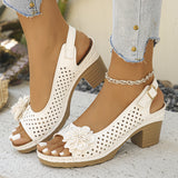 2025 Summer New Women's Slope And Thick-Soled Sandals Large-Size Fish Mouth Slope And Word Slope Heel Sandals HZ0115