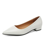 Simple Pointed Light-Mouthed Square Heel Small Leather Shoes Women Business And Leisure Elegant Commute Single Shoes Fashion High Heels Women Four Seasons HZ0115