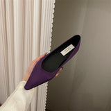 French Temperament State Denance Pointy Single Shoes Women 2025 Summer New Light High-End Fairy Warm Soft-Soled Grandmother Shoes HZ0115