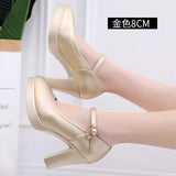 Painted Leather Tip Tip 15CM Catwalk Ultra-High Heel Women's Thick-Sed Waterproof Table Single Shoe With Shallow Model Performance Shoes HZ0115