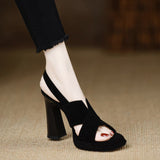 Coarse-Heeled Lady Temperament Sandals 2025 Summer New High-Heeled Frosted Leather Waterproof Toe Black Sandals Women's Shoes HZ0115