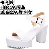 Thick And Thick Waterproof Table Sandals Women High Heel With Heel Toe Model Show Shoes Buckle With Fish Mouth Sandals Shoes Women HZ0115