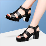 High-Heeled T-T-Slace Sandals Waterproof Table Thick Soles 41-43 Yards Cheongsam Runway Shoes Large-Size Coarse Heel Waterproof Table Women's Shoes HZ0115