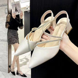 Sharp-Headed Water Drill Sandals Women Summer French Coarse High Heels Retro Single Shoes Femininity Spring HZ0115