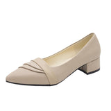 Women's Business Side Heel Single Shoe Tips Heel Small Leather Shoes Four Seasons Elegant Fashion High Heels Wrinkles HZ0115