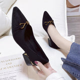 High Heels Women's Velvet Commuting Fashion Single-Shoe Square Heel French Heel Lady Single Shoes OL Shallow Working Women's Shoes HZ0115