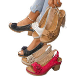 2025 Summer New Women's Slope And Thick-Soled Sandals Large-Size Fish Mouth Slope And Word Slope Heel Sandals HZ0115