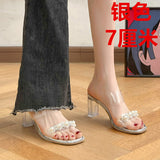 High-Heeled Women In The Summer Of 2025 New Transparent And Fashion Sandals Coarse Heel Through The Water-Drilling Slippers HZ0115