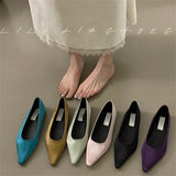 French Temperament State Denance Pointy Single Shoes Women 2025 Summer New Light High-End Fairy Warm Soft-Soled Grandmother Shoes HZ0115