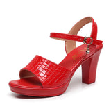 Painted Skin Thick Heel Waterproof Table One-Word Sandals Size Code 32-43 Fashion Show-High-Heeled Sandals Shoes Women HZ0115