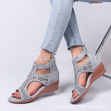 2025 Spring And Summer New Shoes Large-Size Women's Shoes Coarse Heel Heel Shoes Hollow Fish Mouth Sandals Women HZ0115