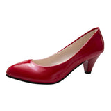 Large-Size Single-Shoe Women 2025 New Pointed Light-Mouthed Four-Season Single-Shoe Fashion Coarse Heel High-Heeled Women's Shoes Large-Size Work Shoes HZ0115