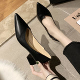 2025 Korean Version Of Thick Heel High-Heeled Single-Shoe Women's Pointed Professional Shoes Black Heel Shoes To Work Shoes HZ0115