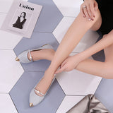 2025 Summer Korean Version Of The New Women's Shoes Tip Flat Shoes Shallow Single Shoes HZ0115