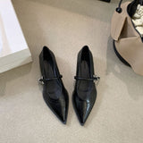 French Low-Heeled Shoes Small Fragrant Wind Tip Single Shoes Women 2025 Spring And Autumn Mary Jane Women's Shoes Coarse Fashion HZ0115