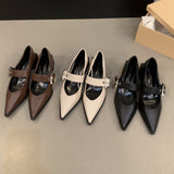 Sharp High-Heeled Black Mary Jane Single Shoes Women's Shoes 2025 New Spring And Autumn Winter French Retro Small Leather Shoes HZ0115