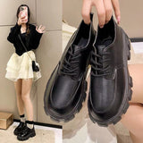 New 2025 Autumn British Wind Students Retro Thick-Soled Single Shoes Small Pine Shoes Women HZ0115