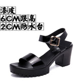 Thick And Thick Waterproof Table Sandals Women High Heel With Heel Toe Model Show Shoes Buckle With Fish Mouth Sandals Shoes Women HZ0115