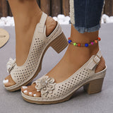 2025 Summer New Women's Slope And Thick-Soled Sandals Large-Size Fish Mouth Slope And Word Slope Heel Sandals HZ0115