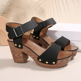 2025 Summer New High-Heeled Sandals Women's Shoes With Fish Mouth Sandals Belt Buckle High Heel Casual Sandals HZ0115
