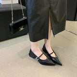 French Low-Heeled Shoes Small Fragrant Wind Tip Single Shoes Women 2025 Spring And Autumn Mary Jane Women's Shoes Coarse Fashion HZ0115