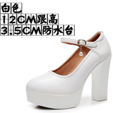 Anti-Slip 6Cm Silver Heeled Show Shoes Thick-Singing Leather Shoes Thick-Soled Model Single-Shoe Large-Size Working Shoes HZ0115