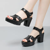 Painted Leather High Heel Waterproof Sandals Women Fashion Crocodile Pattern Walking Shoes Summer Coarse Heel Magic Sticky H Women's Shoes HZ0115