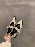 Sharp High-Heeled Black Mary Jane Single Shoes Women's Shoes 2025 New Spring And Autumn Winter French Retro Small Leather Shoes HZ0115