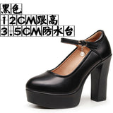 Anti-Slip 6Cm Silver Heeled Show Shoes Thick-Singing Leather Shoes Thick-Soled Model Single-Shoe Large-Size Working Shoes HZ0115