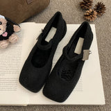 Grey Mary Jane Hairy Shoes Women's Winter Wearing New French Vintage Vintage Coarse Heel Women's Tuff High Heels HZ0115