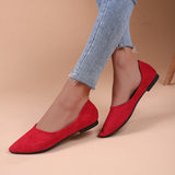 2025 New Flat-Soled Single Shoes Women's Shoes Large-Size Bean Shoes Light-Mouthed Sharp Casual Light Single Shoes HZ0115