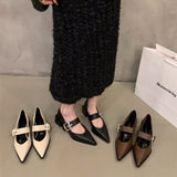 Sharp High-Heeled Black Mary Jane Single Shoes Women's Shoes 2025 New Spring And Autumn Winter French Retro Small Leather Shoes HZ0115