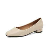 Fashion Single Shoes Women's Low-Heeled Comfortable Elegant Commuting Single Shoes Small Square Root High Heel Korean Version Of Simple Women's Shoes Size 41 HZ0115
