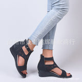 2025 Spring And Summer New Shoes Large-Size Women's Shoes Coarse Heel Heel Shoes Hollow Fish Mouth Sandals Women HZ0115