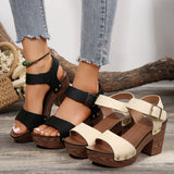 2025 Summer New High-Heeled Sandals Women's Shoes With Fish Mouth Sandals Belt Buckle High Heel Casual Sandals HZ0115