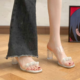 High-Heeled Women In The Summer Of 2025 New Transparent And Fashion Sandals Coarse Heel Through The Water-Drilling Slippers HZ0115