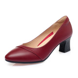 Soft Sole Comfortable Flight Attendant Working Shoes Women's Black Professional Heel Mom Shoes Single-Mouthed Shoes Round Scalp Shoes HZ0115