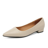 Simple Pointed Light-Mouthed Square Heel Small Leather Shoes Women Business And Leisure Elegant Commute Single Shoes Fashion High Heels Women Four Seasons HZ0115