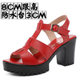 High-Heeled T-T-Slace Sandals Waterproof Table Thick Soles 41-43 Yards Cheongsam Runway Shoes Large-Size Coarse Heel Waterproof Table Women's Shoes HZ0115