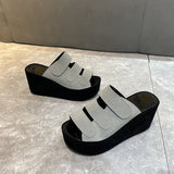 Fashion Slippers Women's 2025 Korean Version Of Spring And Summer Large Code Magic Stick Thick Bottom Slope And Cold Drag Frosted High With Ladies Slippers HZ0115
