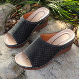 Sandals Women Large-Size Slopes And Summer New Fish Mouth Hollow Breathable Wear Thick-Bottomed Slippers Women HZ0115