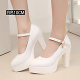 Painted Leather Tip Tip 15CM Catwalk Ultra-High Heel Women's Thick-Sed Waterproof Table Single Shoe With Shallow Model Performance Shoes HZ0115