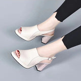 Fashion Cool Boots Women Summer New Sandals Women Thick Fashion Trend Fish Mouth High Heel Sandals Behind The Empty Buckle HZ0115