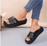 Large-Size Thick-Bottomed Cool Slippers Women's New Summer 2025 Fashion Fish Mouth Comfortable Beach Slippers HZ0115