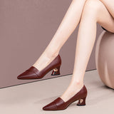 Vintage Pointed Light Mouth Heel Single Shoes Women's Coarse Leather Shoes 2025 Spring And Autumn New Fashion Large Size Women's Shoes HZ0115