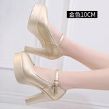 Painted Leather Tip Tip 15CM Catwalk Ultra-High Heel Women's Thick-Sed Waterproof Table Single Shoe With Shallow Model Performance Shoes HZ0115
