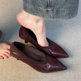 French Retro V-Mouth Fine Heel Single-Shoe Female Tip Temperament Pedal Professional High Heels HZ0115