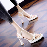 Gentle Temperament Sandals Women 2025 Korean Version Of The Date Can Wear Fine High Heels Side Toe Anti-Slip Shoes Women HZ0115