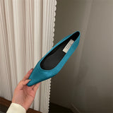 French Temperament State Denance Pointy Single Shoes Women 2025 Summer New Light High-End Fairy Warm Soft-Soled Grandmother Shoes HZ0115