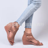 2025 Spring And Summer New Shoes Large-Size Women's Shoes Coarse Heel Heel Shoes Hollow Fish Mouth Sandals Women HZ0115